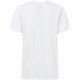 MYSTERY RANCH Logo Tee - White (Back) (Show Larger View)